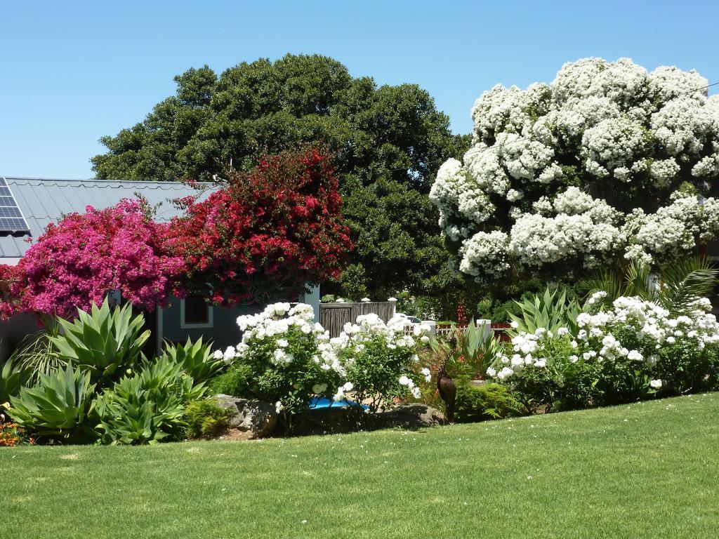 Marula Lodge Swellendam Dış mekan fotoğraf